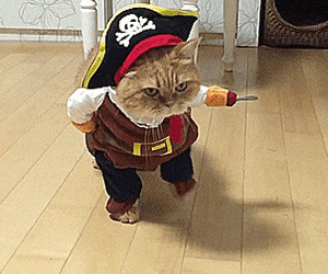 寵物海盜變身裝