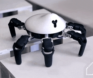 智能蜘蛛機器人